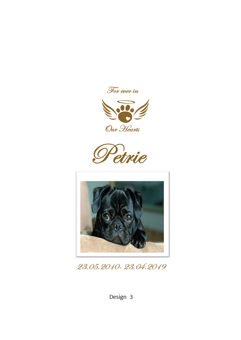 Pet Memorial Personalized Candle Elegance